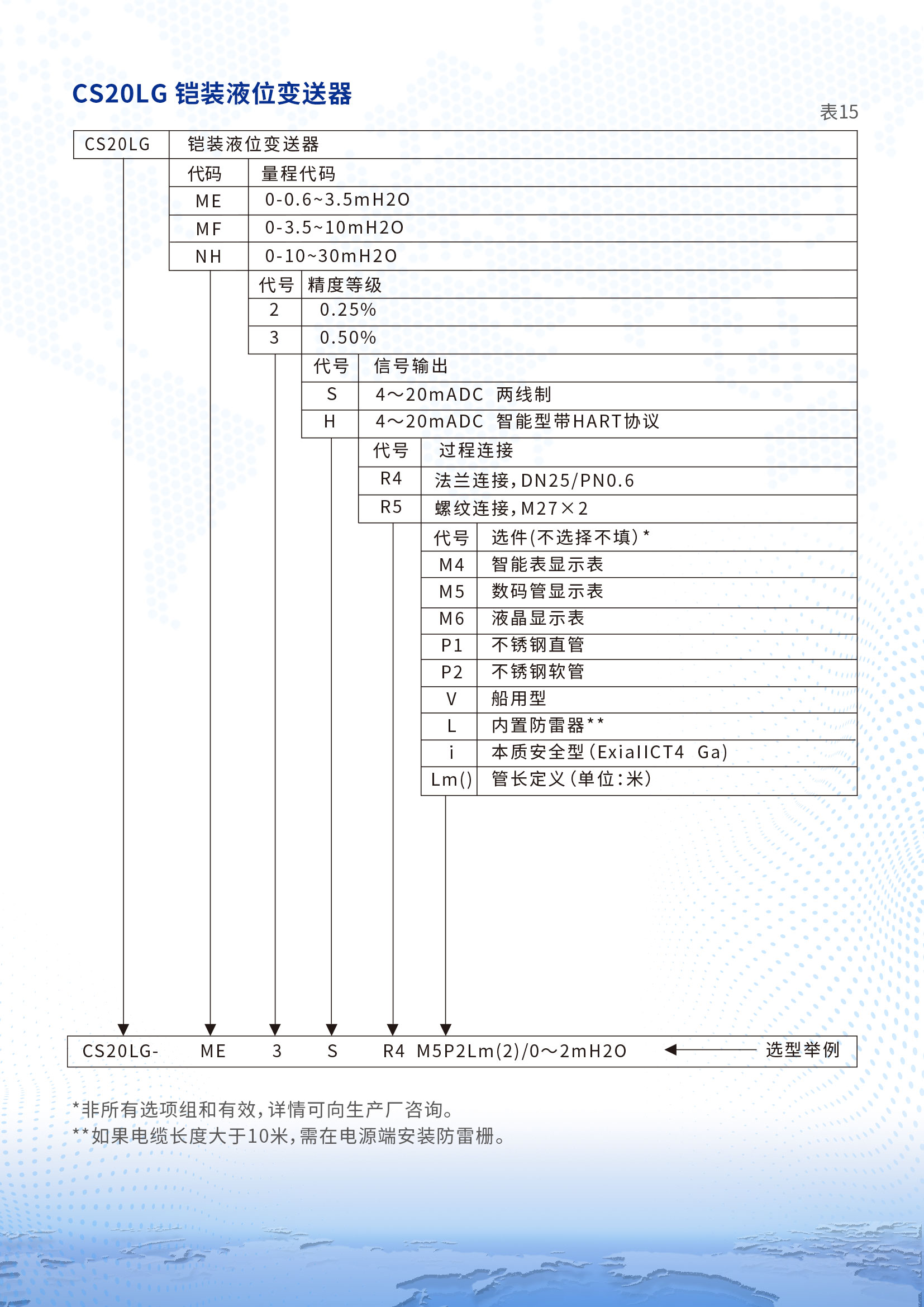 CS20LG鎧裝液位變送器詳情頁2.jpg