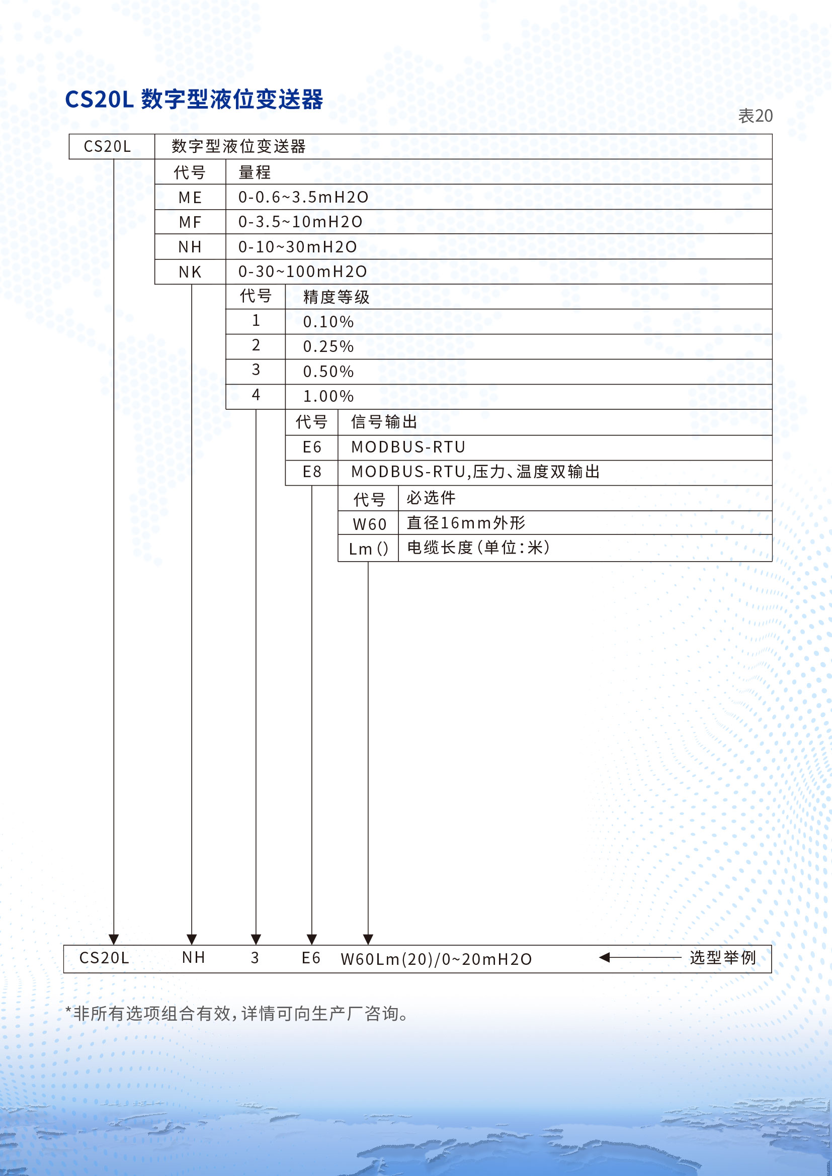 CS20L數(shù)字型液位變送器詳情頁2.jpg